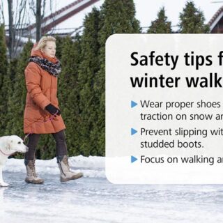Woman walking with a dog on a slippery road. Text box: - wear proper shoes with traction on snow and ice - prevent slipping with anti-skids or stubbed boots - focus on walking and don`t rush.