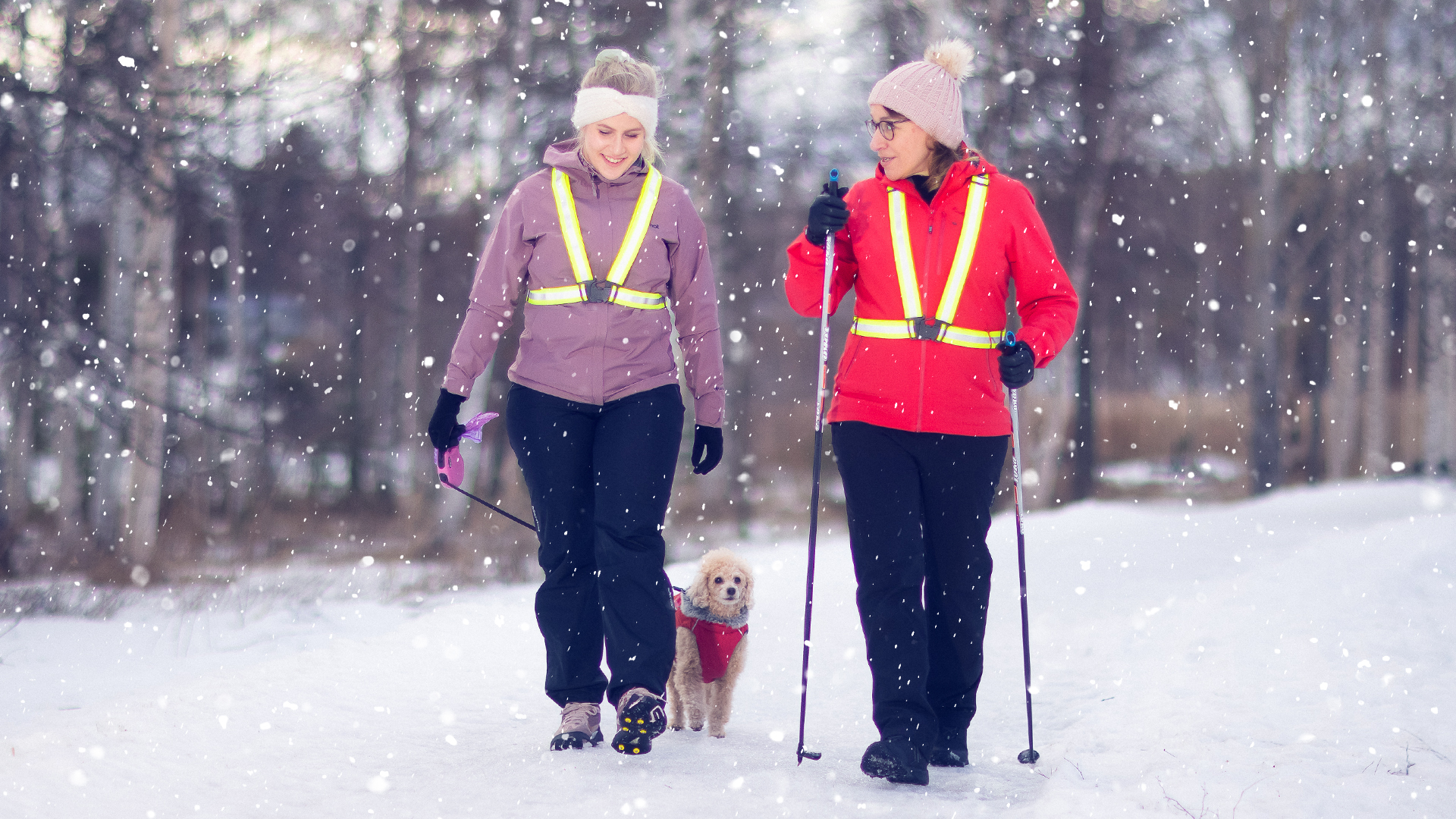 Kaksi naista ja koira lenkillä talvella.