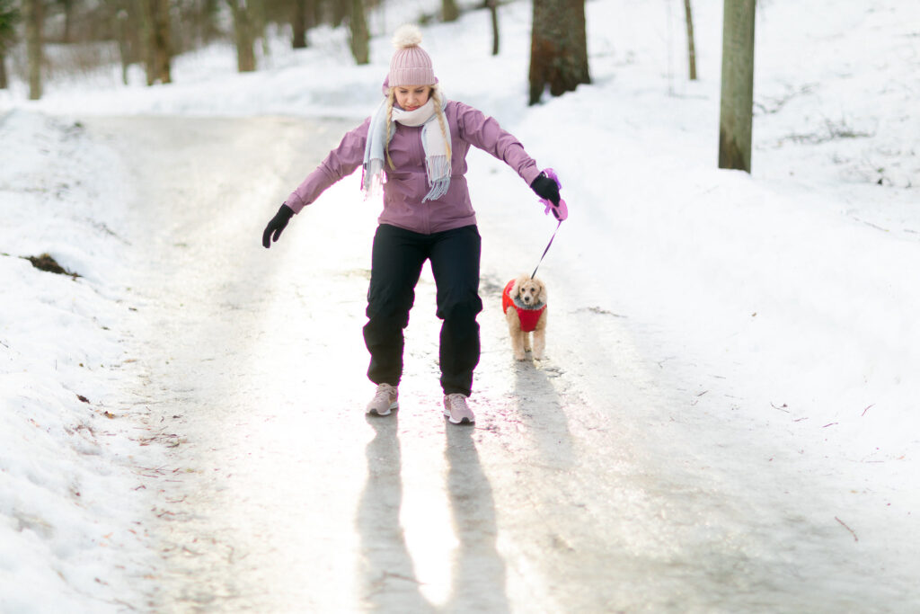 kaatuminen koiran kanssa