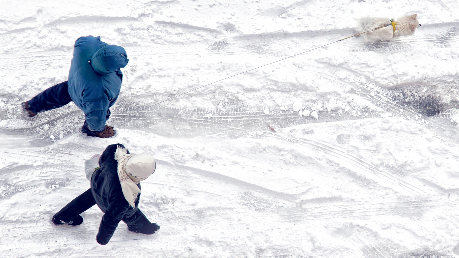Kaksi ihmistä lenkillä koiran kanssa lumisella kelillä kuvattuna ylhäältä