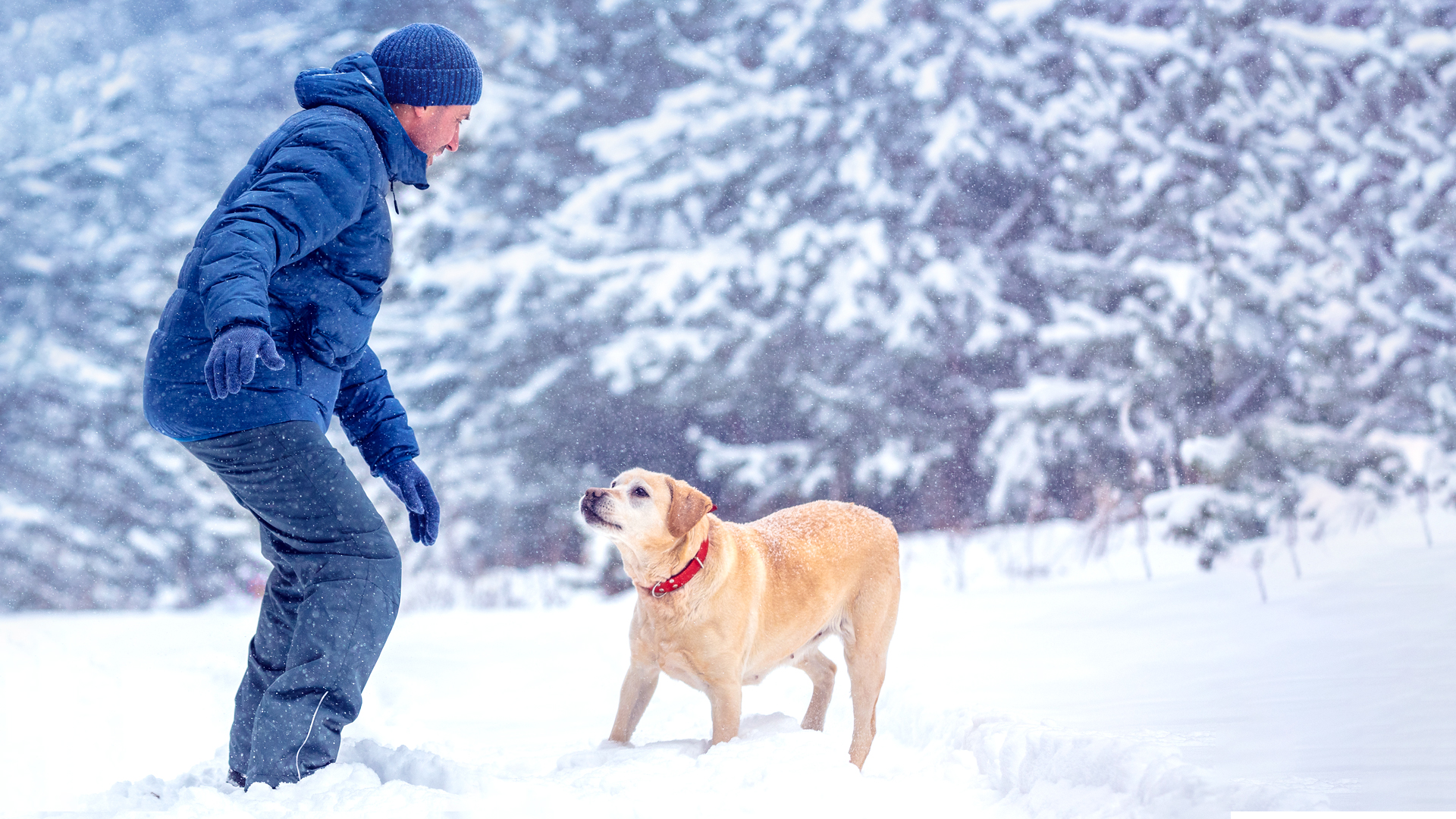 Mies talvella ulkoilemassa koiran kanssa leikkimässä